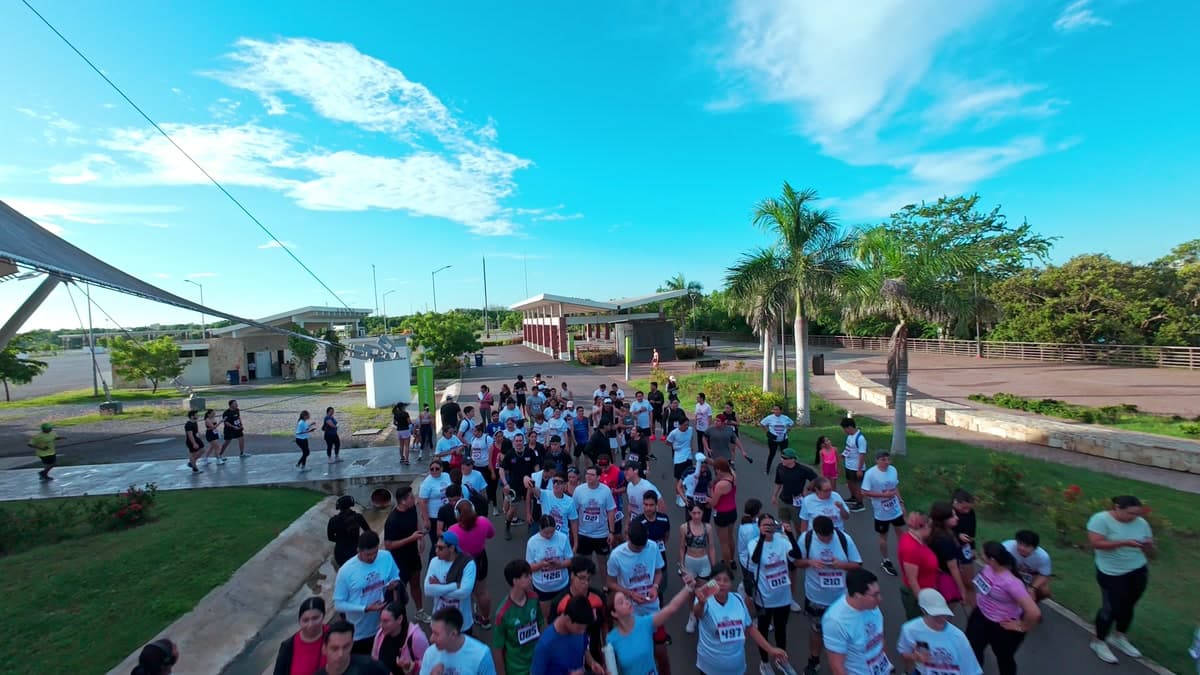 Experiencia Híbrida 2026